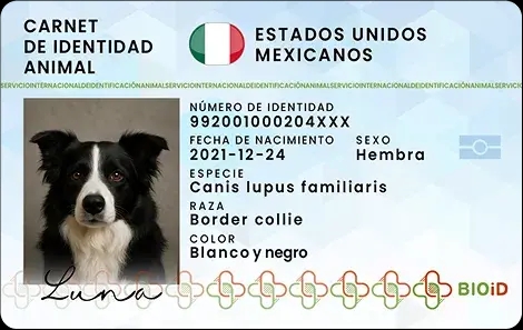 Carnet de mascotas