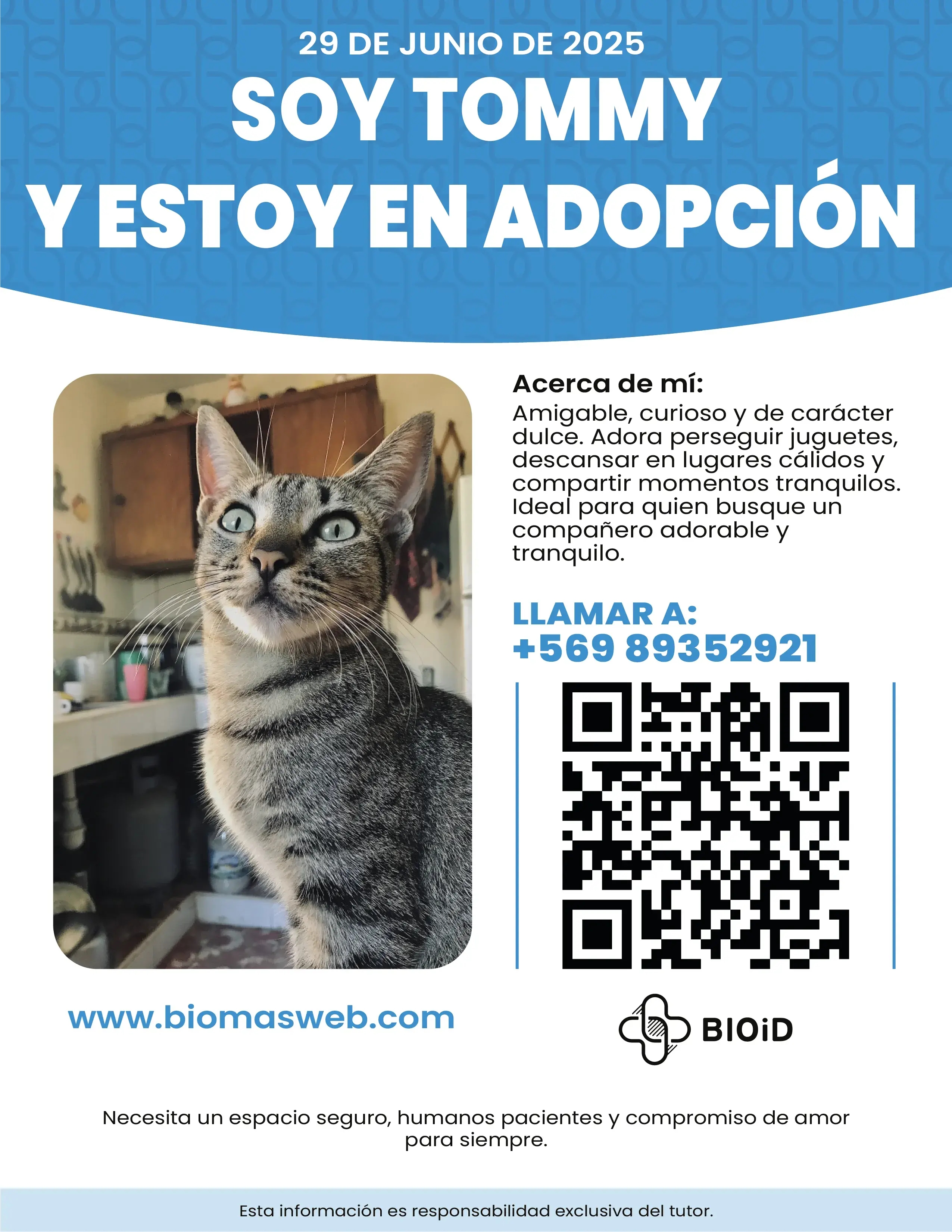 adoption